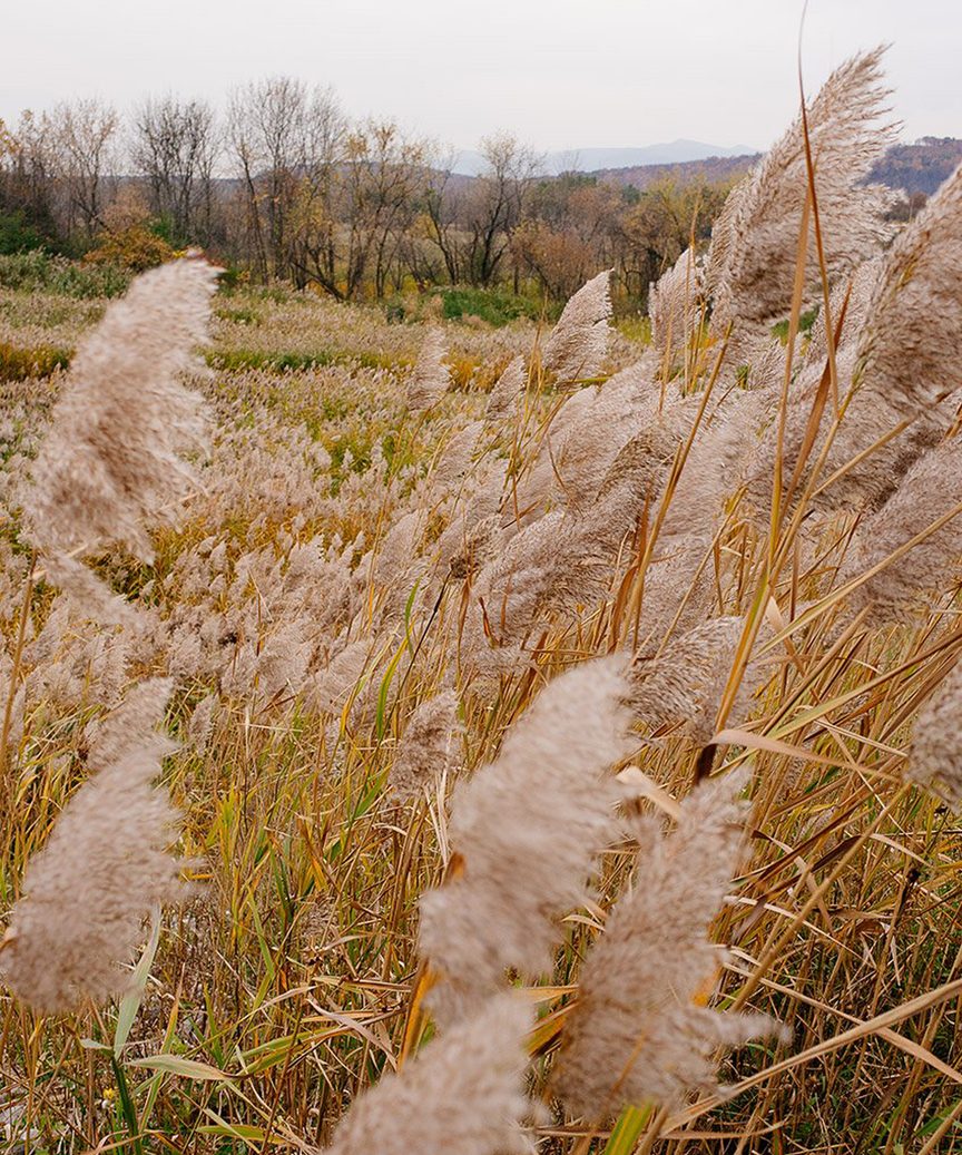 Hudson Valley by Marc Gabor