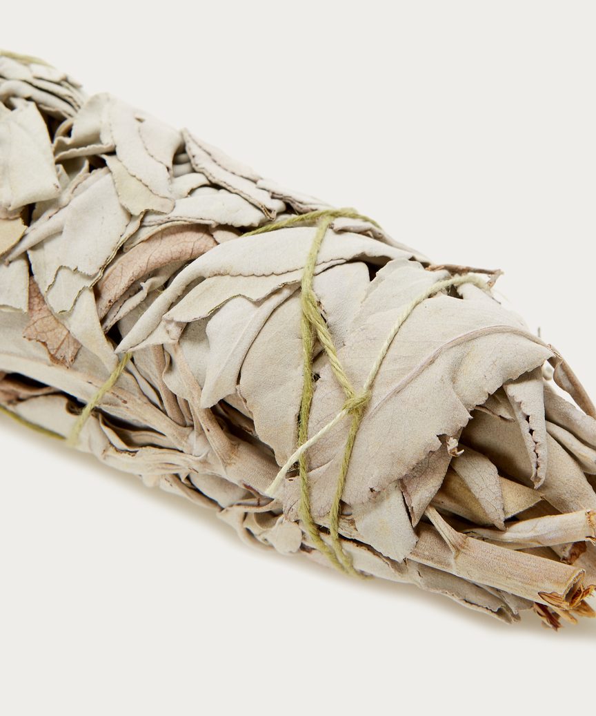 White Sage Smudge Bundle